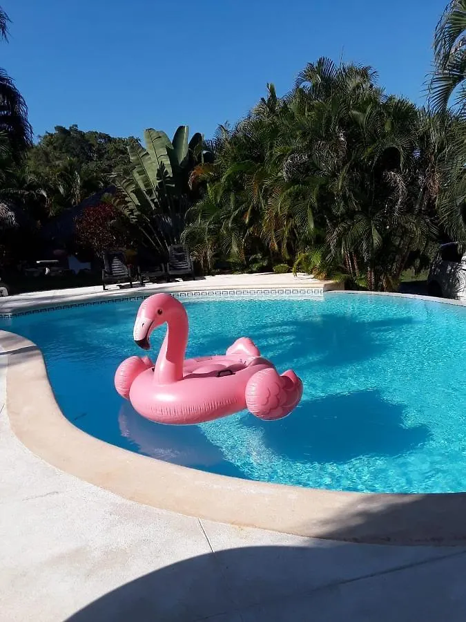Willa Casa Flamingo Las Terrenas Dominikana