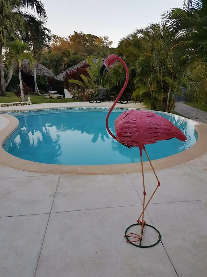 Casa Flamingo Villa Las Terrenas 0*,
